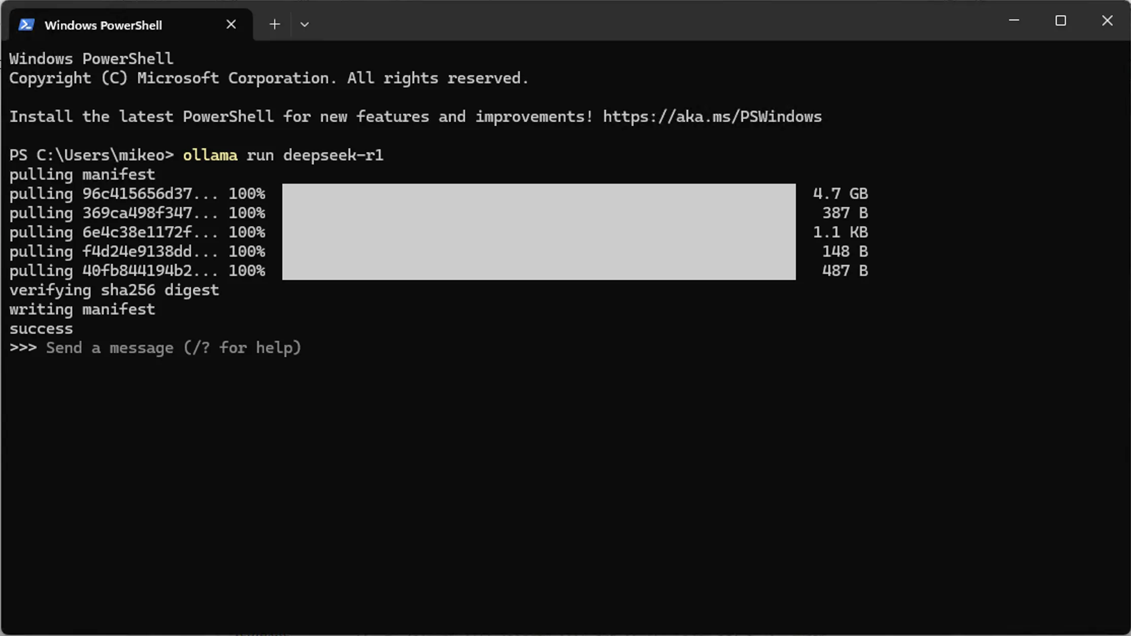 DeepSeek CLI