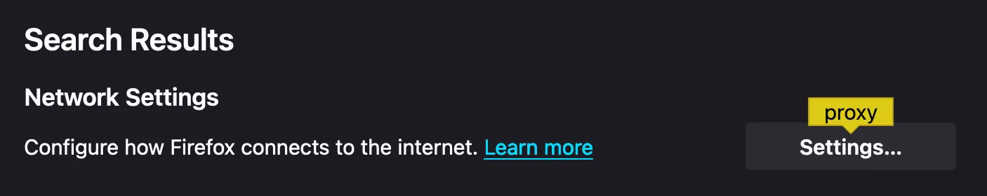 Firefox proxy settings