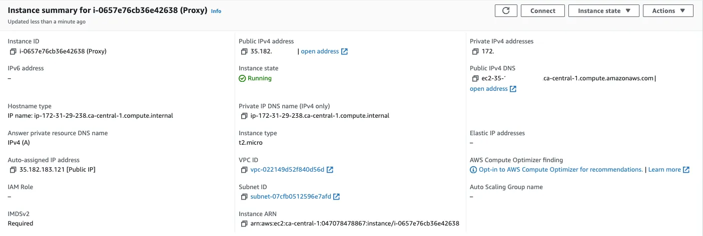 Instance details and public IP
